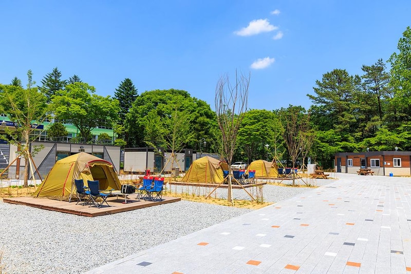 경상북도교육청김천오토캠핑장 시설 사진 1