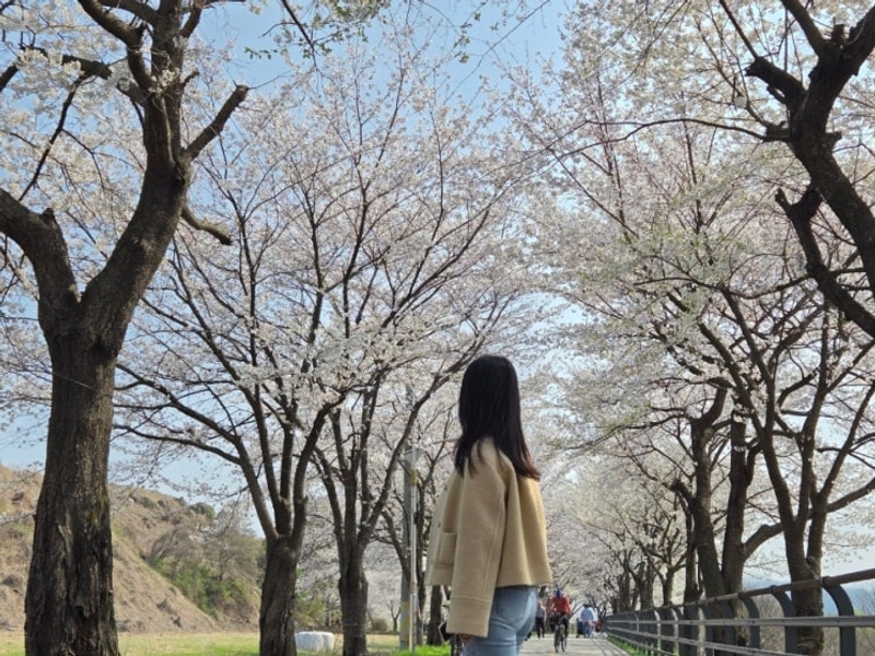 [가평 개울가오토캠핑장 A사이트] 날씨요괴가 붙은것만같은...