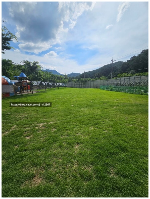 원주캠핑장 아이와 가기 좋은 [원주두리캠핑장]