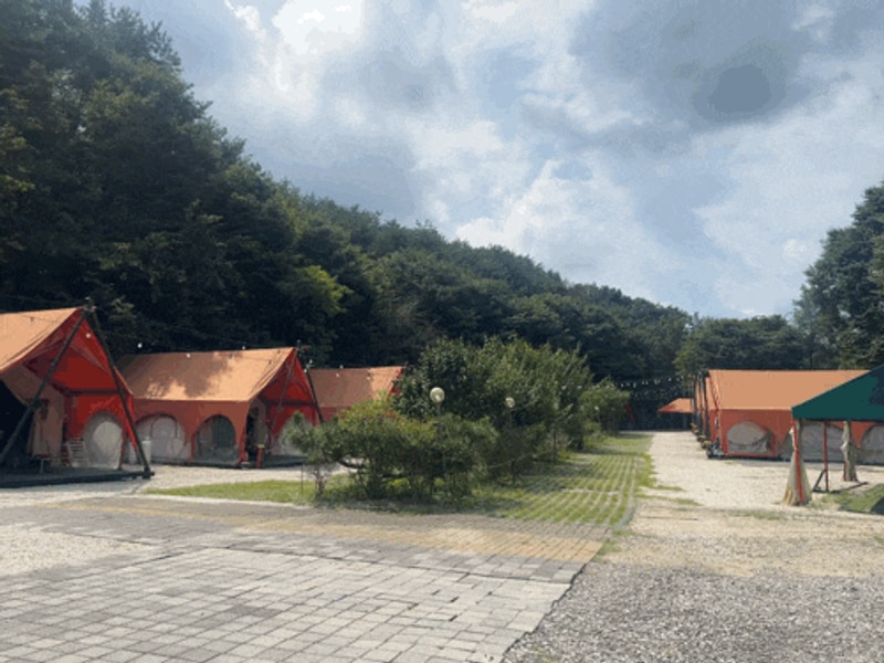 [포천 당일치기 캠핑] 포천글램핑앤카라반 평일 후기 (+수영장...