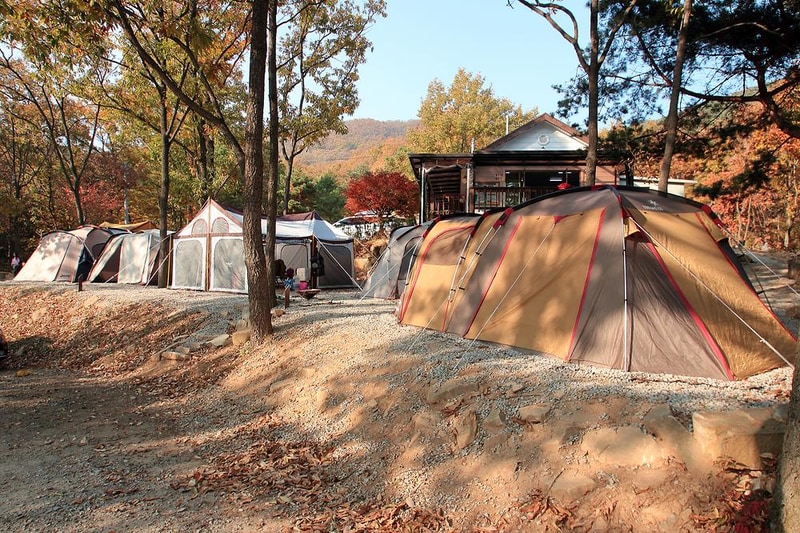 낭만에코파크 시설 사진 2