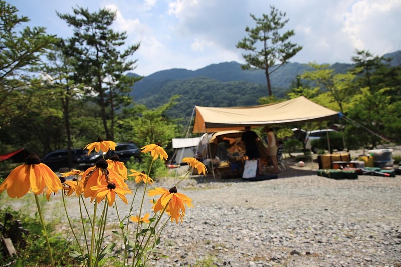 평창 보물섬캠핑장 시설 사진 8