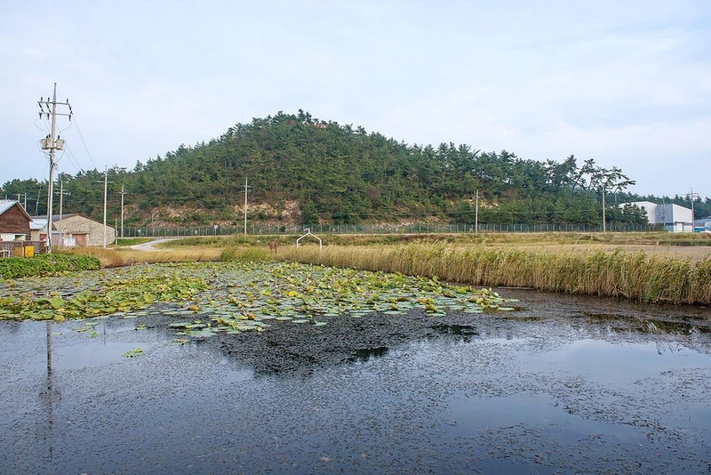 (주)태평소금 천일염 힐링캠프 시설 사진 5