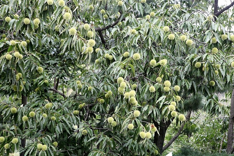 쿼크밸리캠프 야영장 시설 사진 20