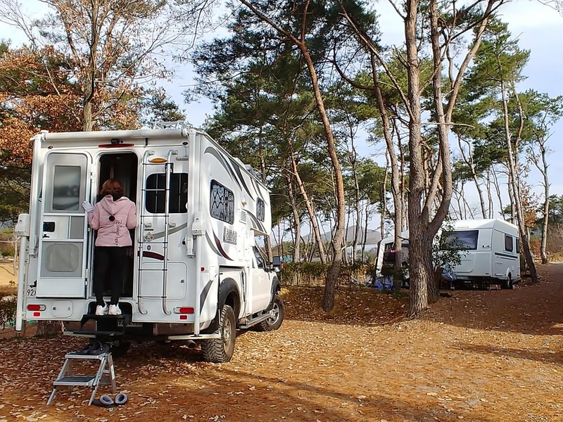 숲속의베리팜 시설 사진 26