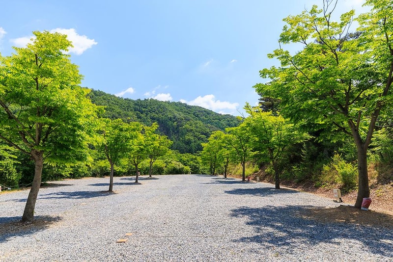 별바라기 캠핑 펜션 시설 사진 15