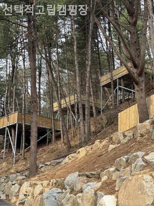 가평 캠핑장 선택적고립캠핑장 아이들과 함께하기 좋은 추천 장소