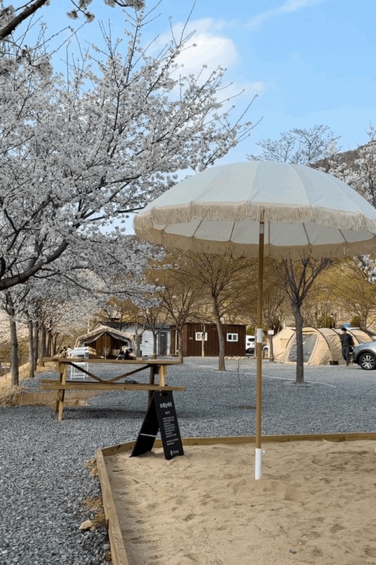 캠핑 체크인 11th. 밀양 자연속캠핑장 벚꽃캠핑 후기