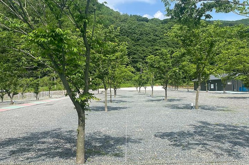 별빛 은하수 캠핑장 대표 사진