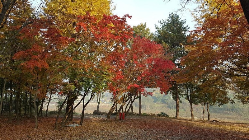 써니밸리오토캠핑장 시설 사진 5