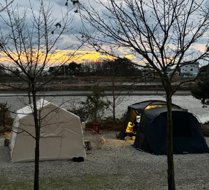 경기 안산 : 대부도 '아라뜰 캠핑장' 애견동반 캠핑장 B4...