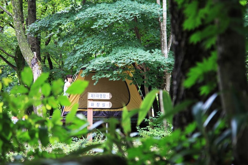 와룡자연휴양림 일반야영장 시설 사진 6