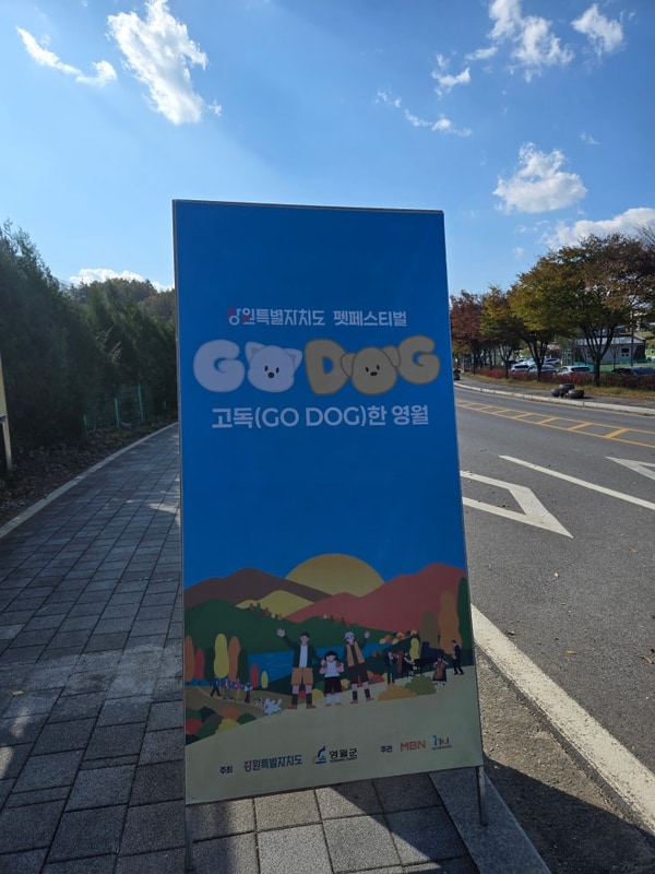 강원도 펫페스티벌 고독한영월 후기 (+와룡천캠핑장)