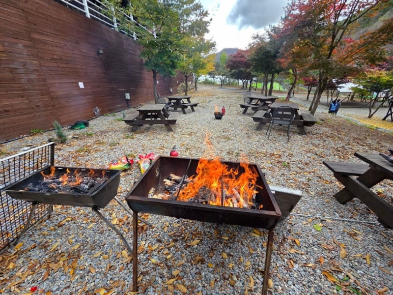 평일 단체 여행으로 다녀온 홍천 J캠핑장, 자연 속 힐링 바베큐...