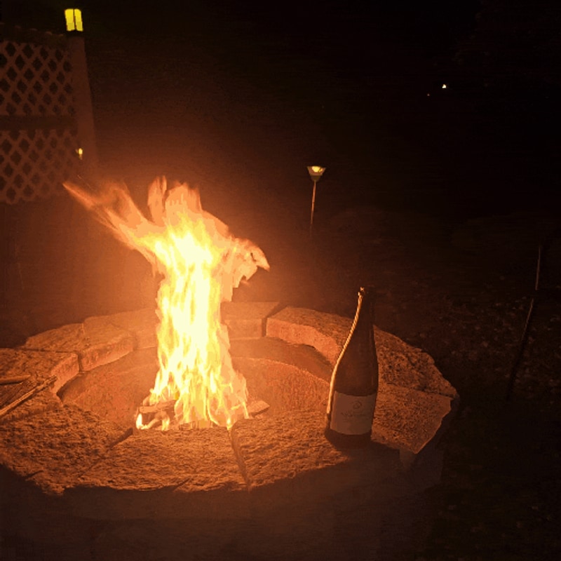 정선 글램핑 추천 : 드위트리 글램핑 후기 (수영장, 개별...