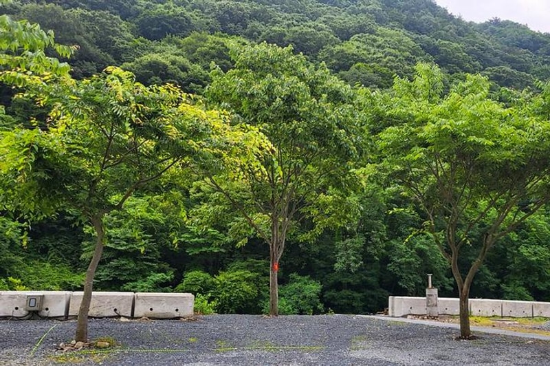 하옥 가람캠핑장 대표 사진