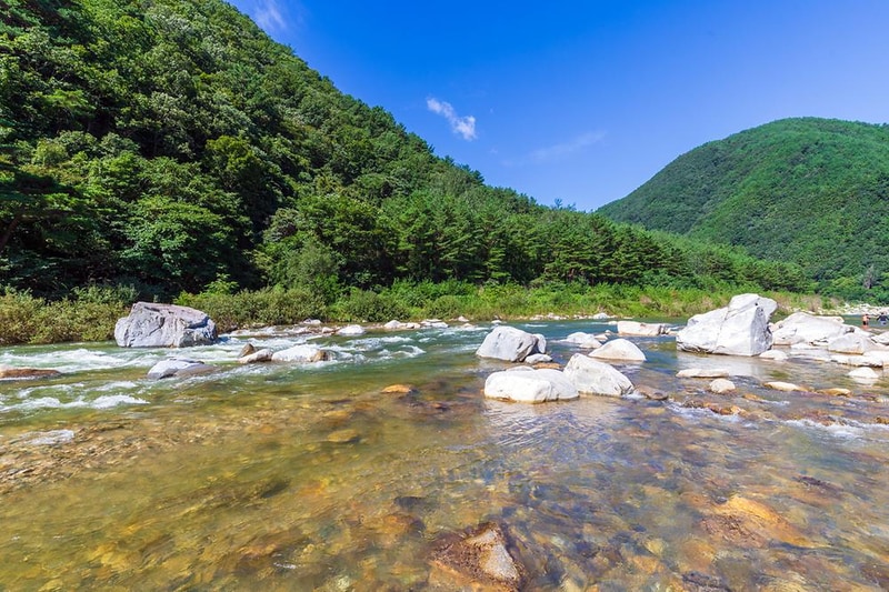 왕피천 숲속 캠핑장 시설 사진 3