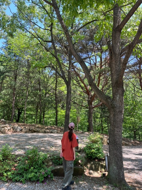 꿈 같았던 두번째 캠핑! 낭만에코파크, 강화 손칼국수, 카페 곧은