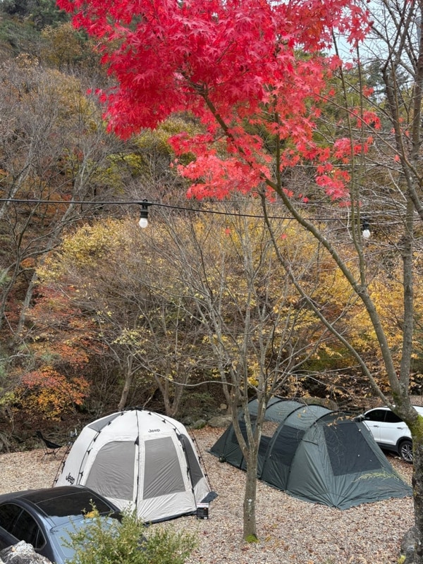 문경 히든벨리 오토캠핑장