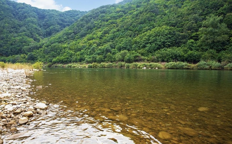 파인 카라반 캠핑장 시설 사진 22