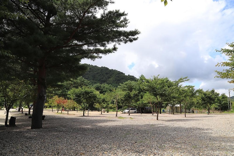 삼척엘림캠핑장 시설 사진 5