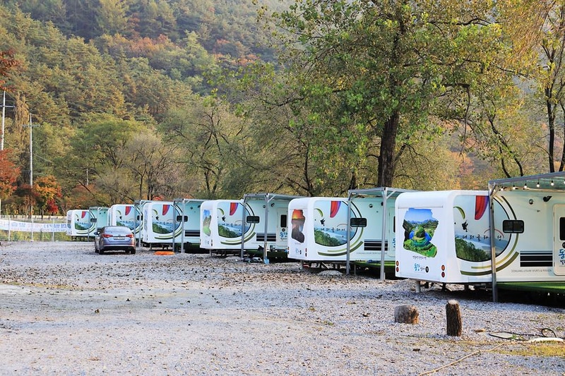 동강빌리지 야영장 시설 사진 6