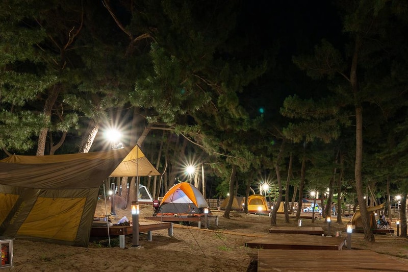 맹방 비치캠핑장 시설 사진 28