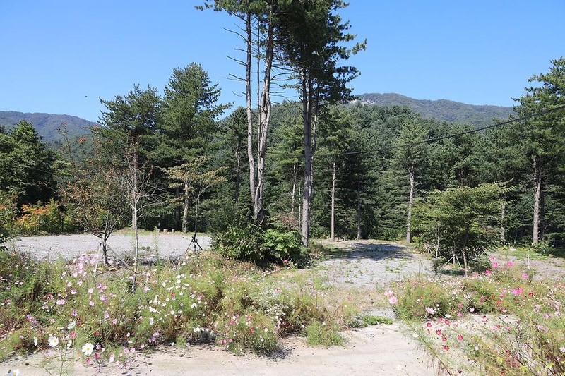 두밀숲캠핑장 시설 사진 4