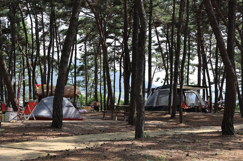 고사포야영장 시설 사진 9