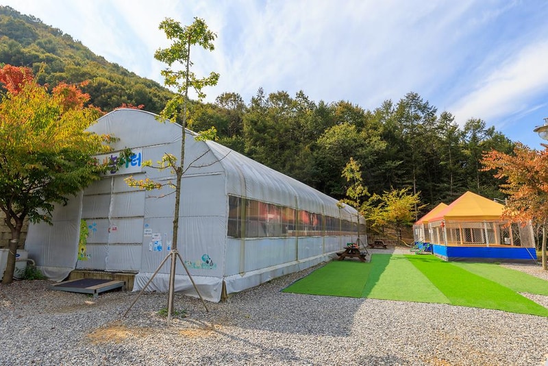 진천포레스트캠핑장 시설 사진 3