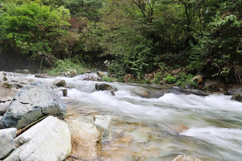 귀촌 야영장 시설 사진 9