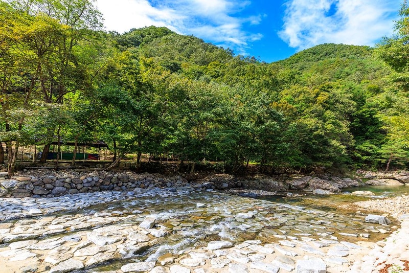 수룡캠핑장 시설 사진 7