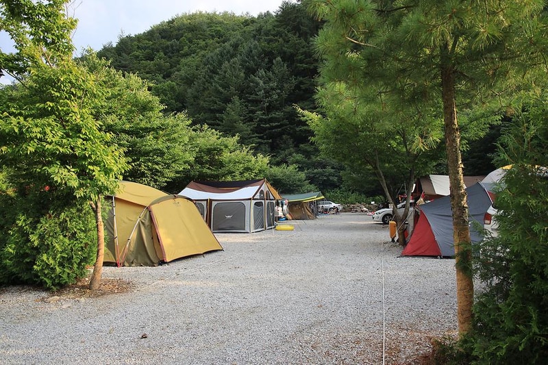 내리계곡 솔밭캠핑장 시설 사진 2