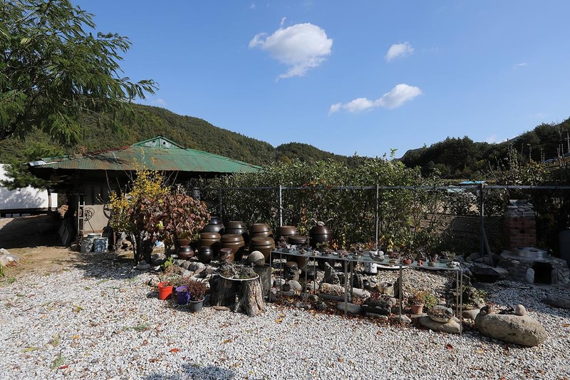 왕피천모래언덕 펜션/캠핑장 시설 사진 7