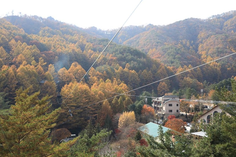 피노키오관광농원 야영장 시설 사진 18