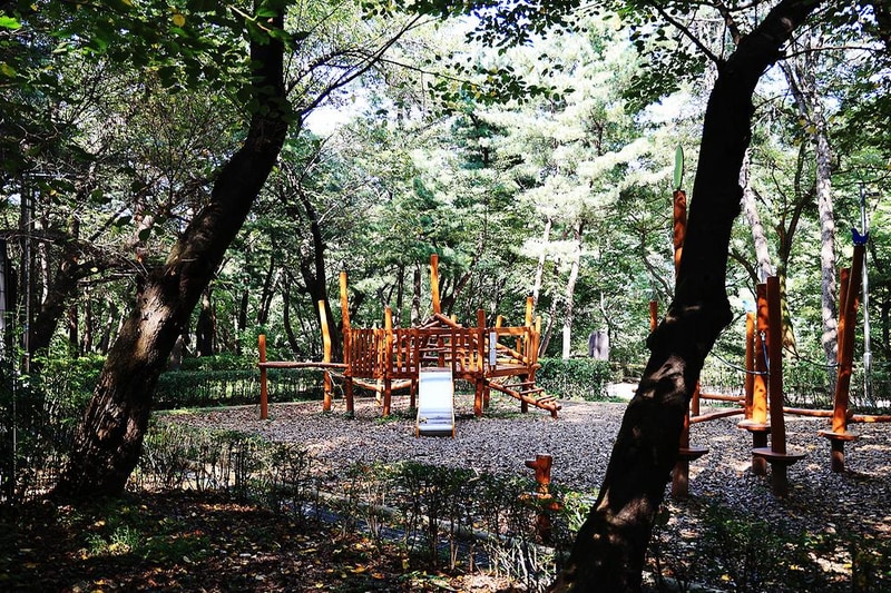 관악산 계곡 캠핑장 시설 사진 21