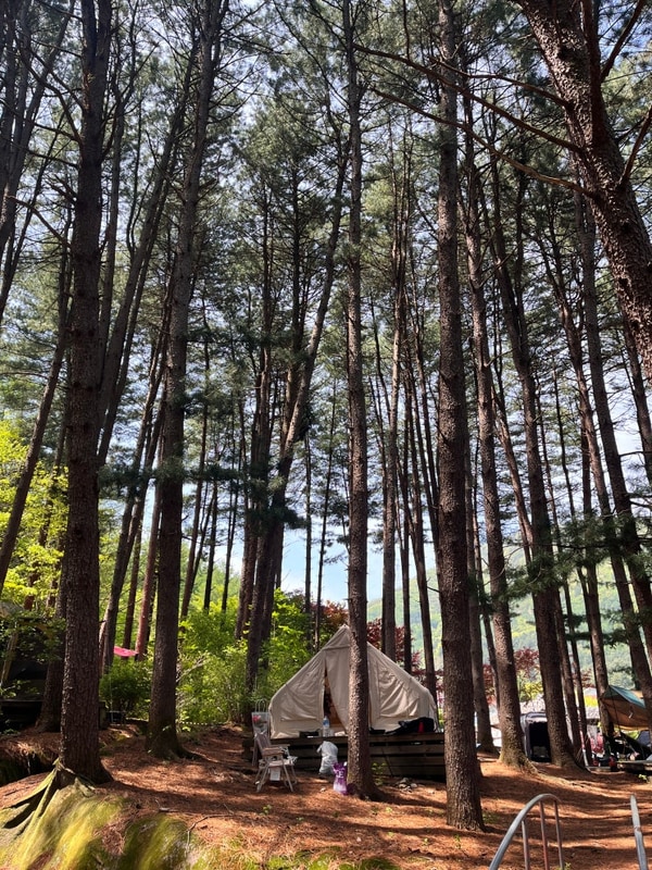 [가평] 푸른숲캠핑장 | 숲속데크 명당 사이트 & 오토캠핑 솔직후기