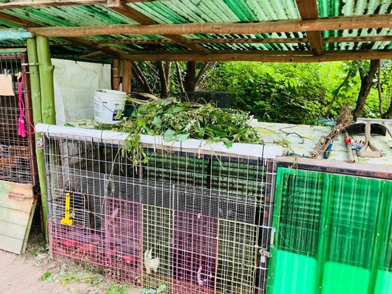 가평 둥지캠핑장 방문기