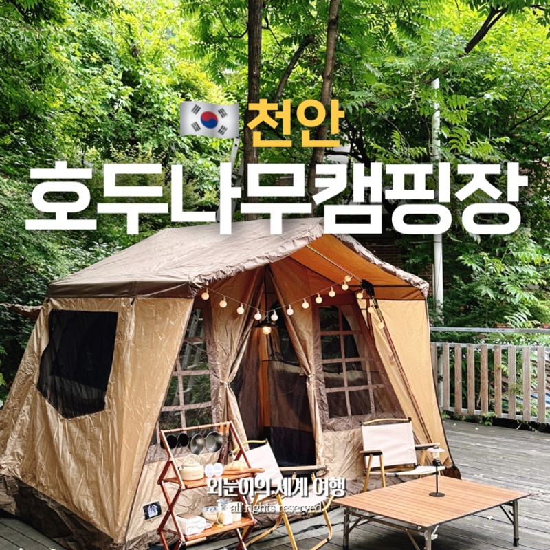 천안 계곡 캠핑장 추천, 서울 대전 근교 호두나무 캠핑장 명당...