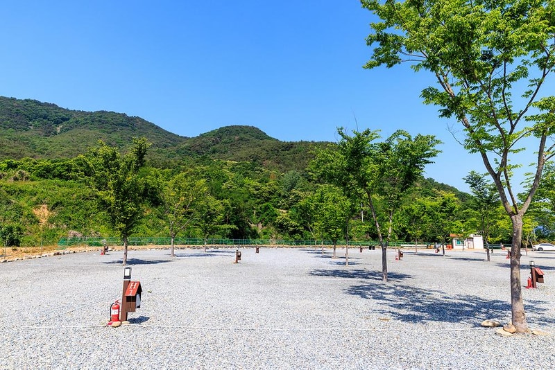 엠와이힐링캠핑장 시설 사진 9
