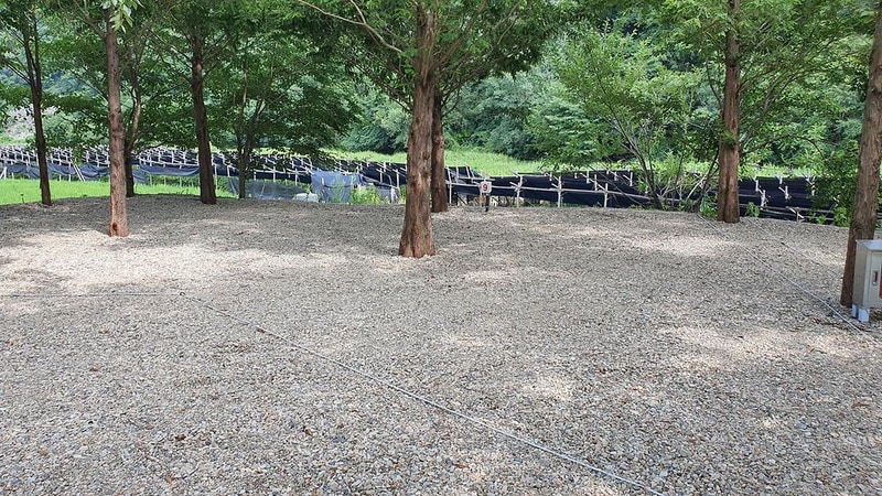 금산 자연 오토캠핑장 시설 사진 39