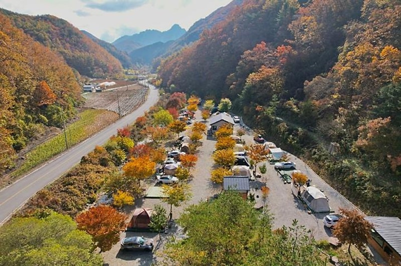 별빛뜰애 대표 사진