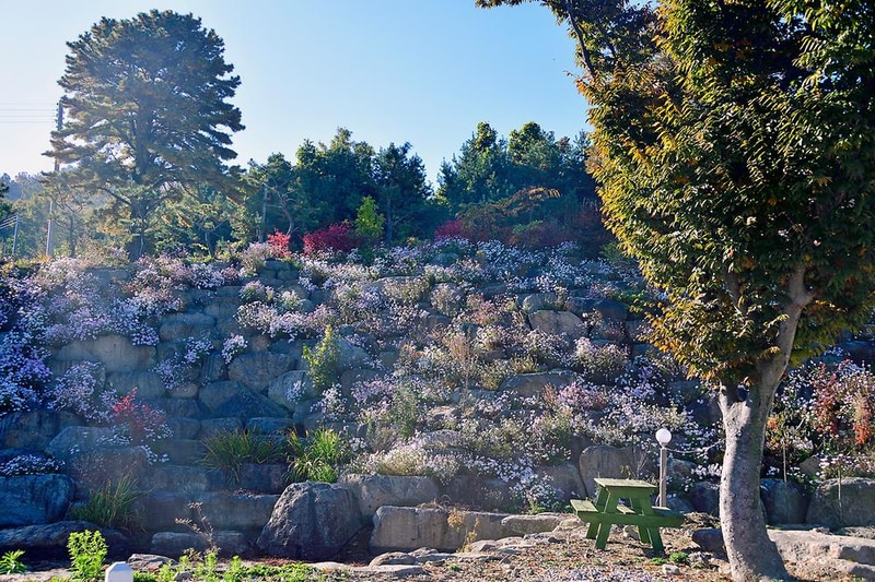 로하스캠핑 시설 사진 2