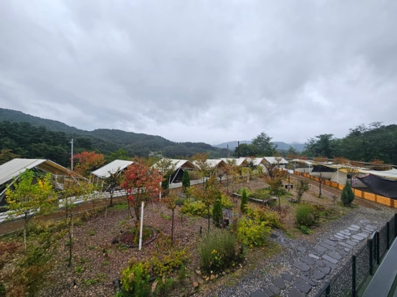 대형견동반/캠핑] 진돗개와 함께 캠핑가기 - 7. 나아정캠핑장(가평)