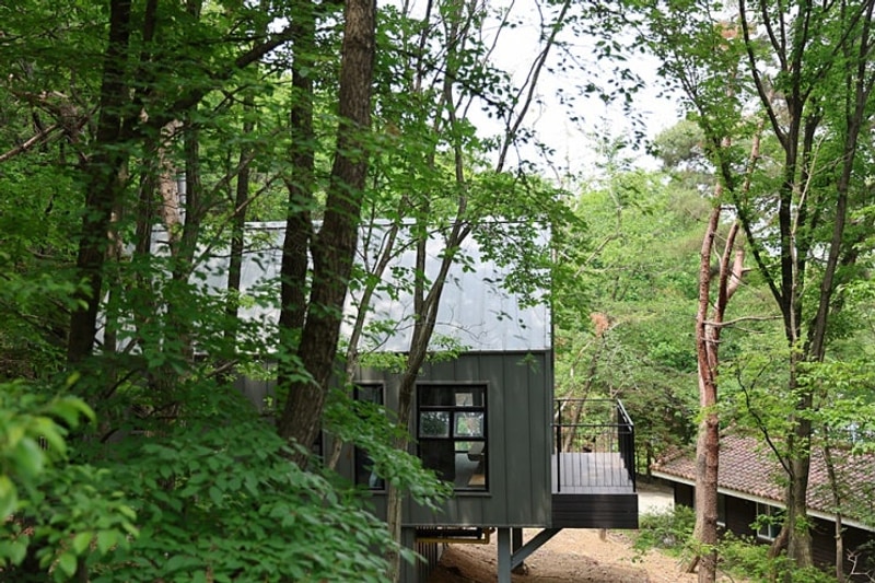 음성 수레의산 자연휴양림... 트리하우스 수선화, 국민여가캠핑장