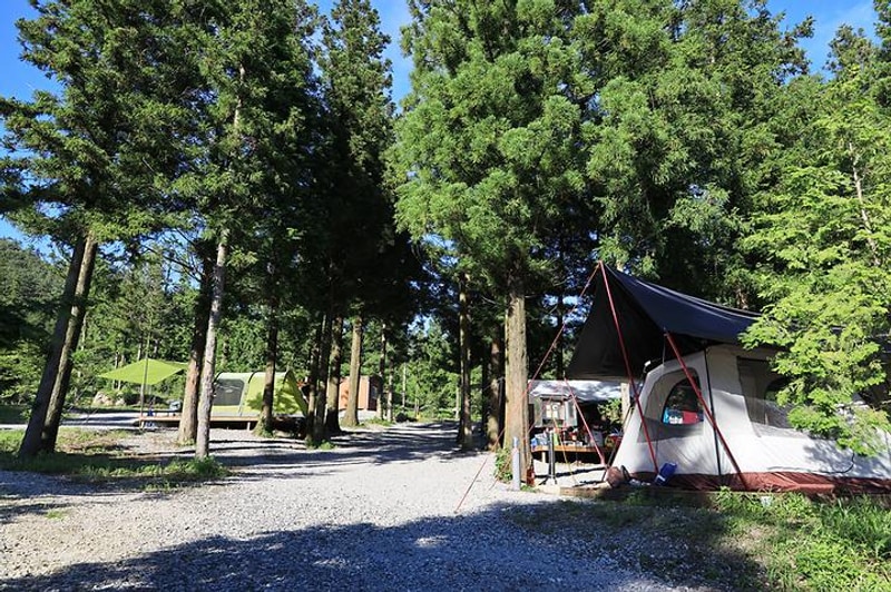 윤제림오토캠핑장 대표 사진