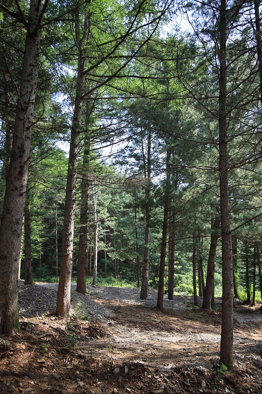 횡성 노다지야영장 불타는 삼촌 시설 사진 21