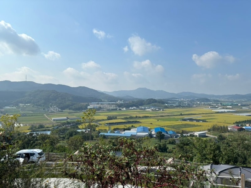 왕깔끔이의 아산 깨끗한 캠핑장 추천 캠프그라운드 화온 명당...