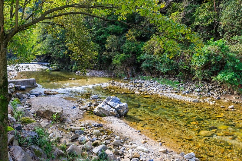 포레스트힐링캠프 시설 사진 6