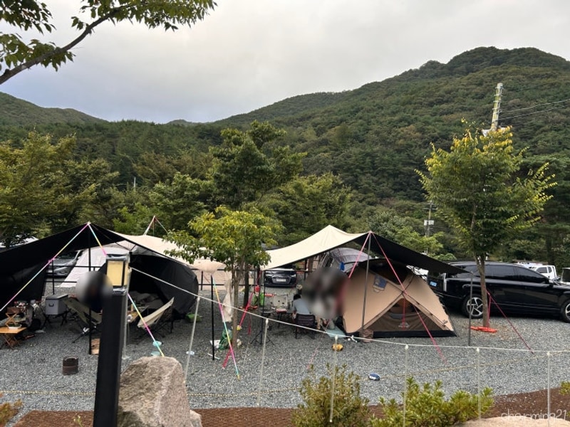 청도 오토캠핑장! 캠프1530 B5 사이트 명당